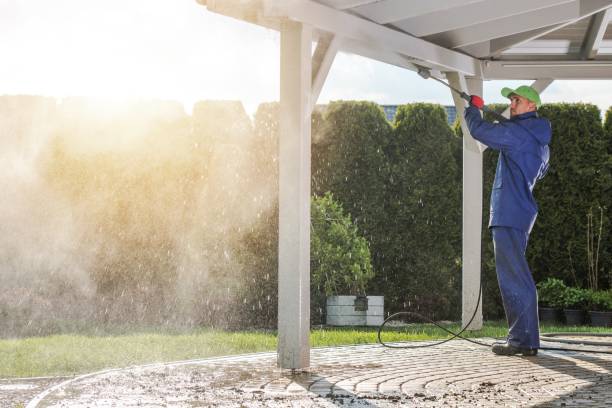 Best Roof Cleaning and Mildew Removal in Norris, TN